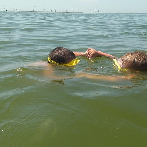 Photo #3723334