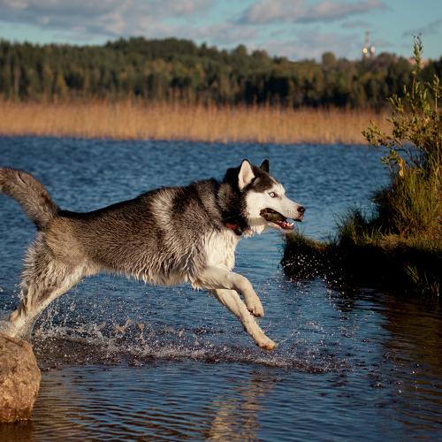 Photo #3723525
