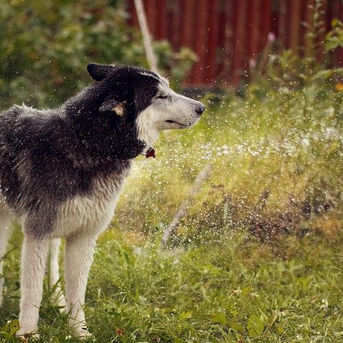 Photo #3723556