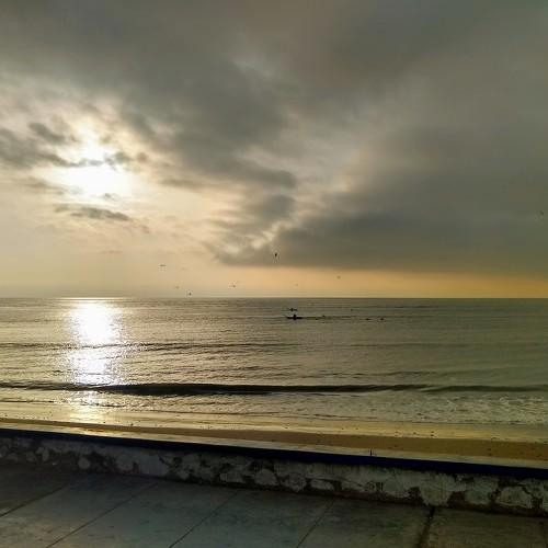 Photo #3723739
