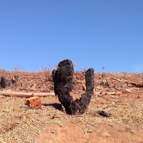 Photo #3723798