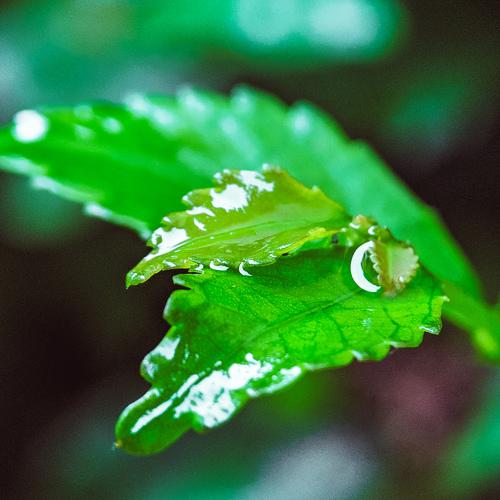 Photo #3723847