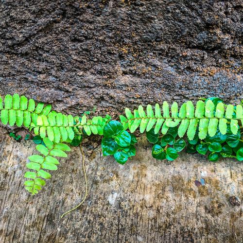Photo #3723849