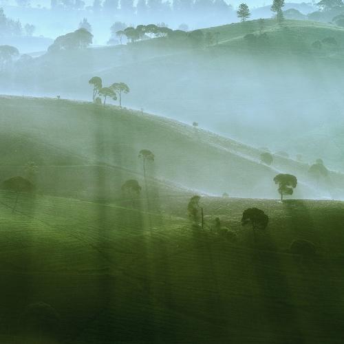Photo #3723855