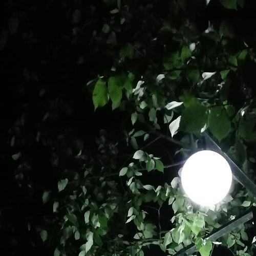 Photo #3724023