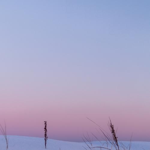 Photo #3724266