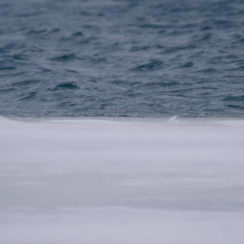 Photo #3724268