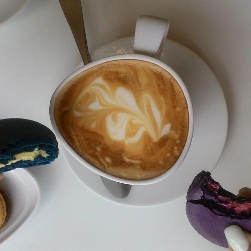 Photo #3724438