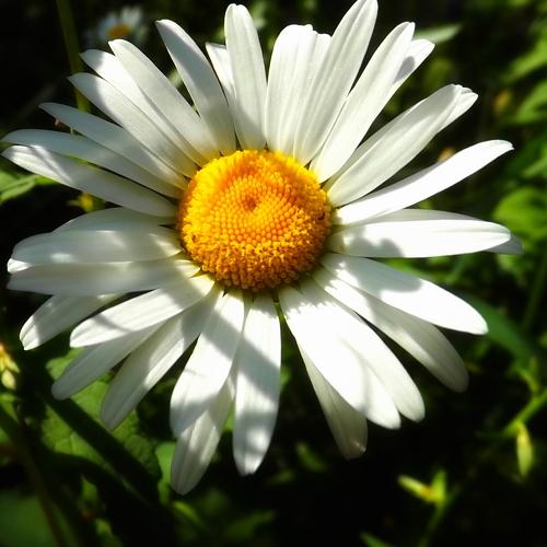 Photo #3724549