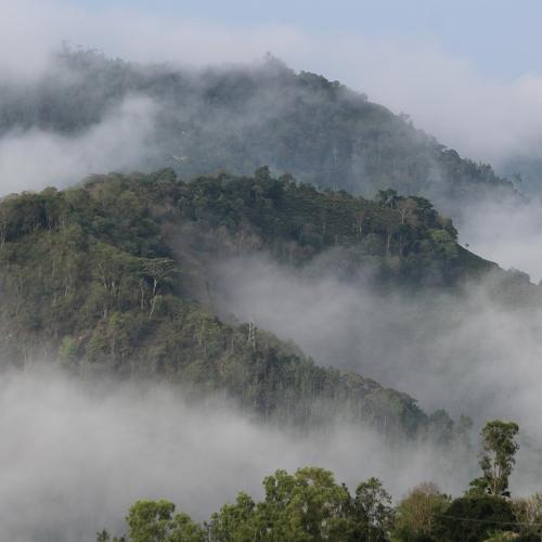 Photo #3724556