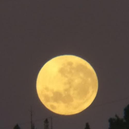 Moon over Waitakere