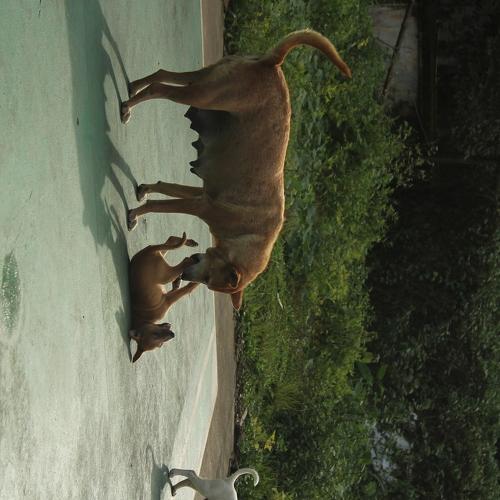 Photo #3724640