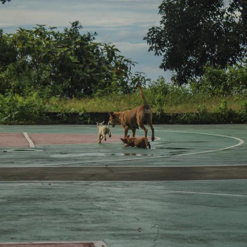 Photo #3724642