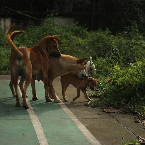 Photo #3724648