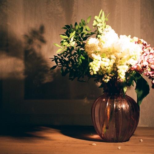Photo #3724988
