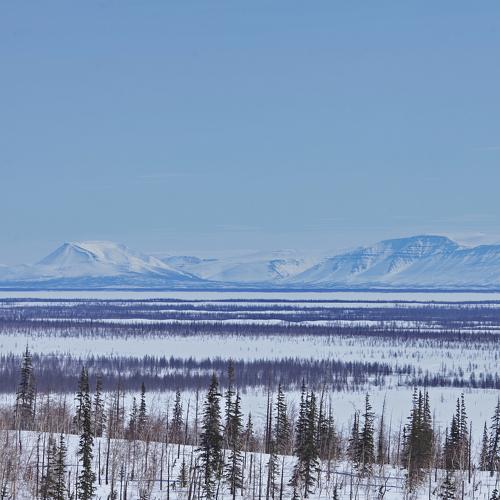Photo #3725582