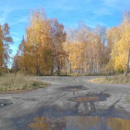Photo #3725699