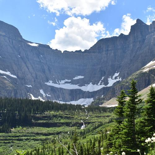 Photo #3725993