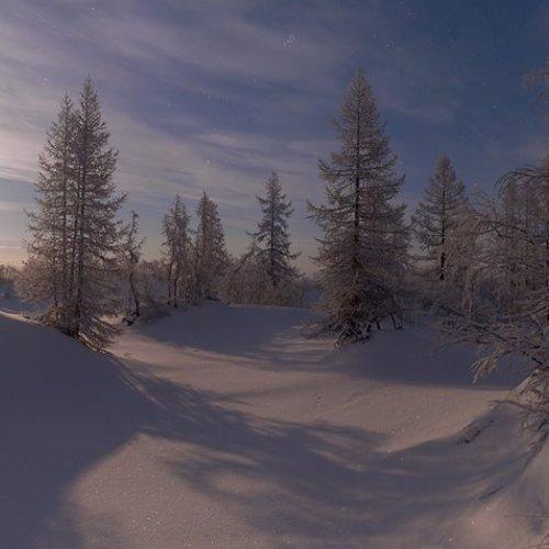 Photo #3726249