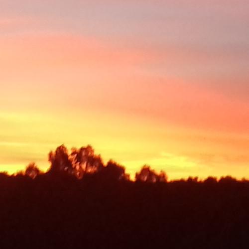Dramatic sunset