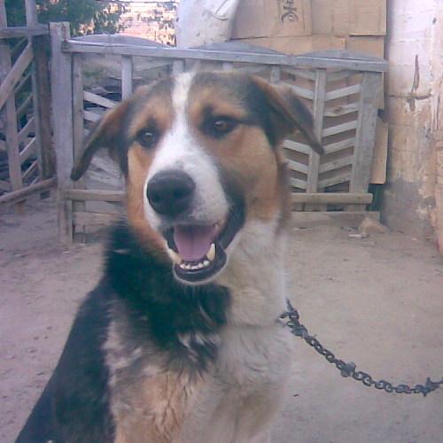 Photo #3726964