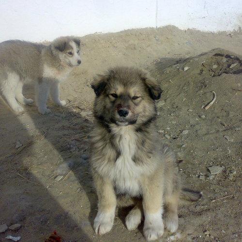 Photo #3726976