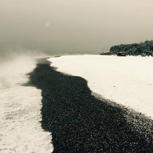 Photo #3727517