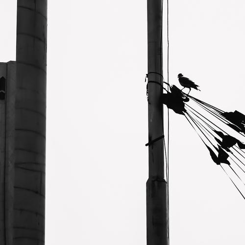 Photo #3727561