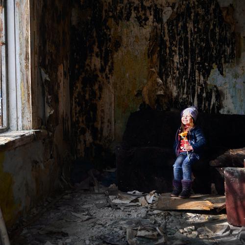 Photo #3727600