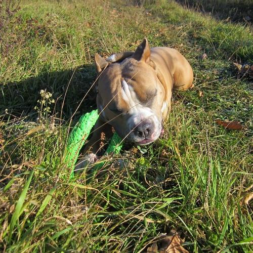 Photo #3727621
