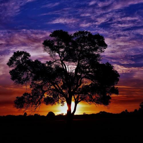 Photo #3727784