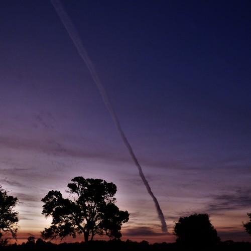 Photo #3727786
