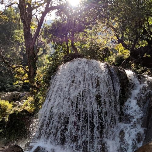 Photo #3727866