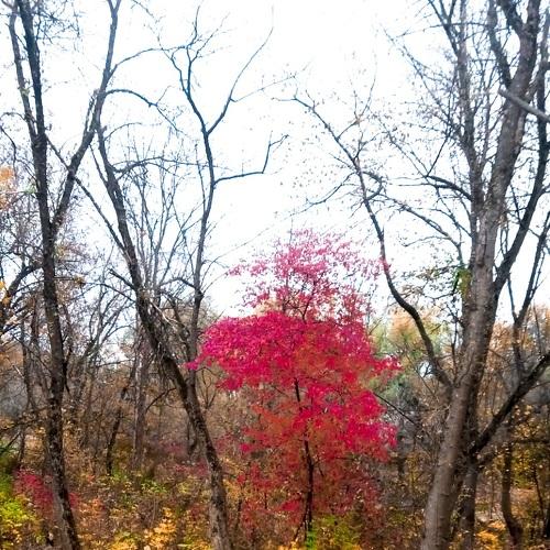 Photo #3728043