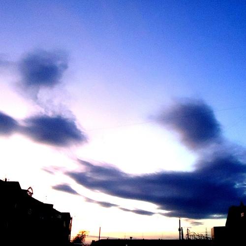 Photo #3728553