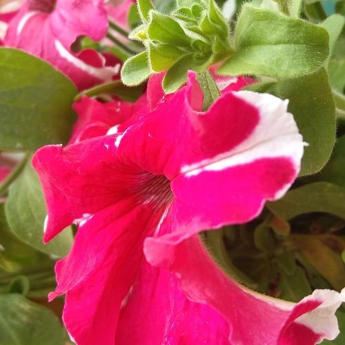 Photo #3728661