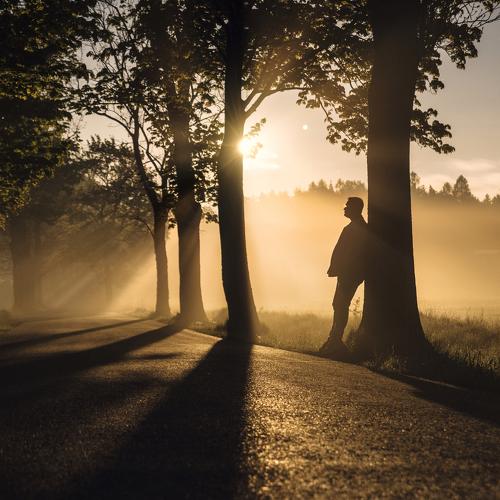 The rising Moon and Jupiter