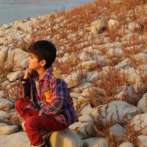 Photo #3729279