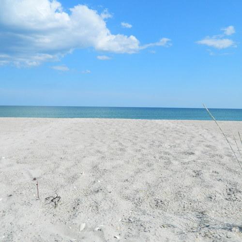 Photo #3729433