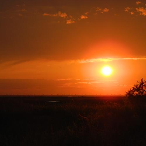 Photo #3729483