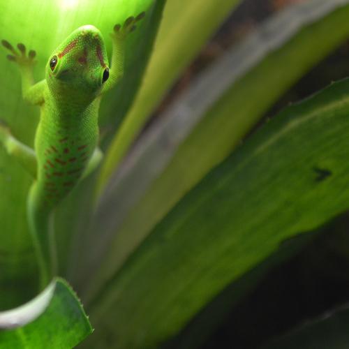 Photo #3729641