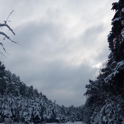 Photo #3729811