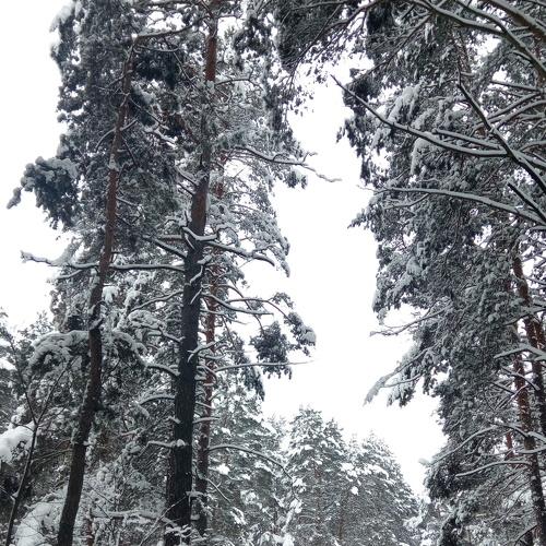 Photo #3729813