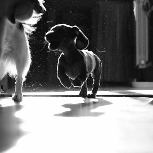 Photo #3730206