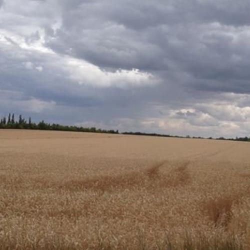 Photo #3730483