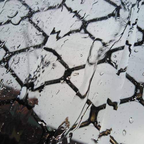 Photo #3730513