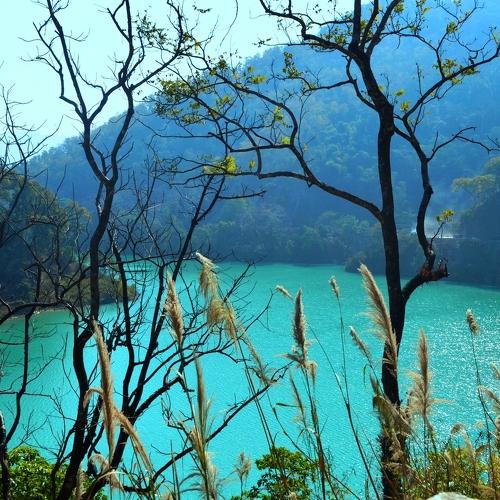 Photo #3730603