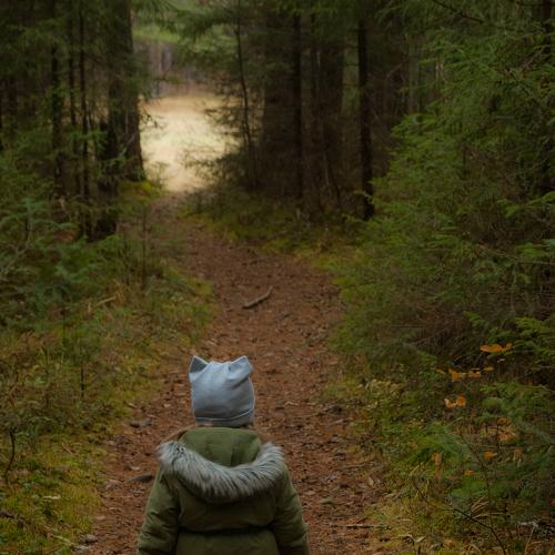 Photo #3730645