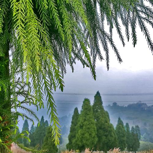 Photo #3730752