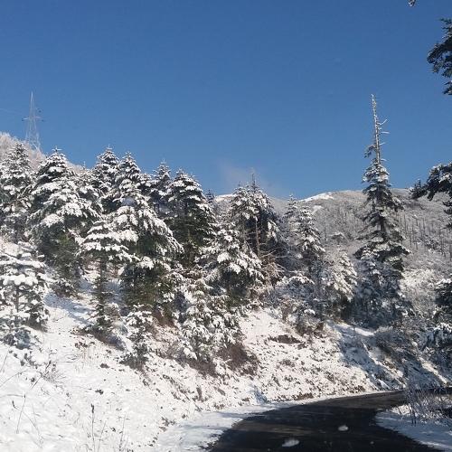 Snow day